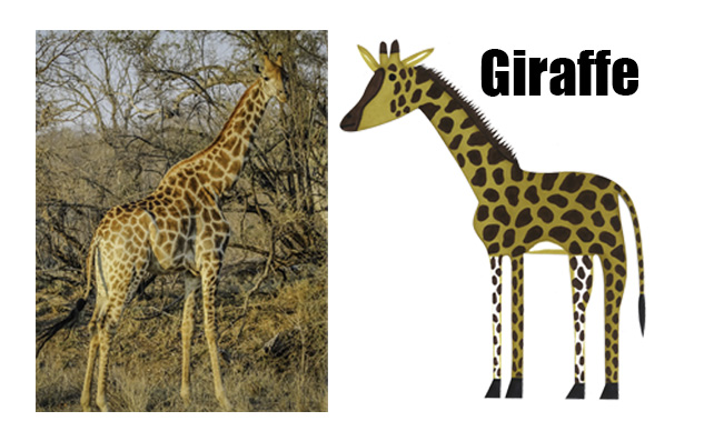 giraffe 2