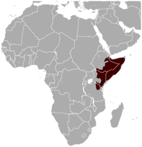 Gerenuk Range