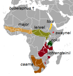 Hartebeest Range