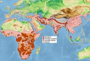 Leopard present and historical Range