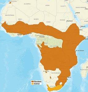 Serval Range as of 2015