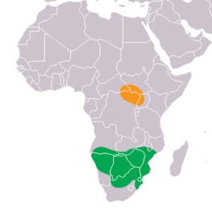 White Rhino original Range as of 2006 