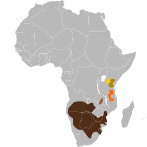 Wildebeest Range