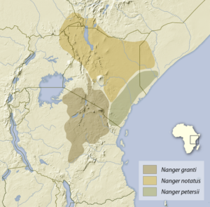 Grant's Gazelle Range